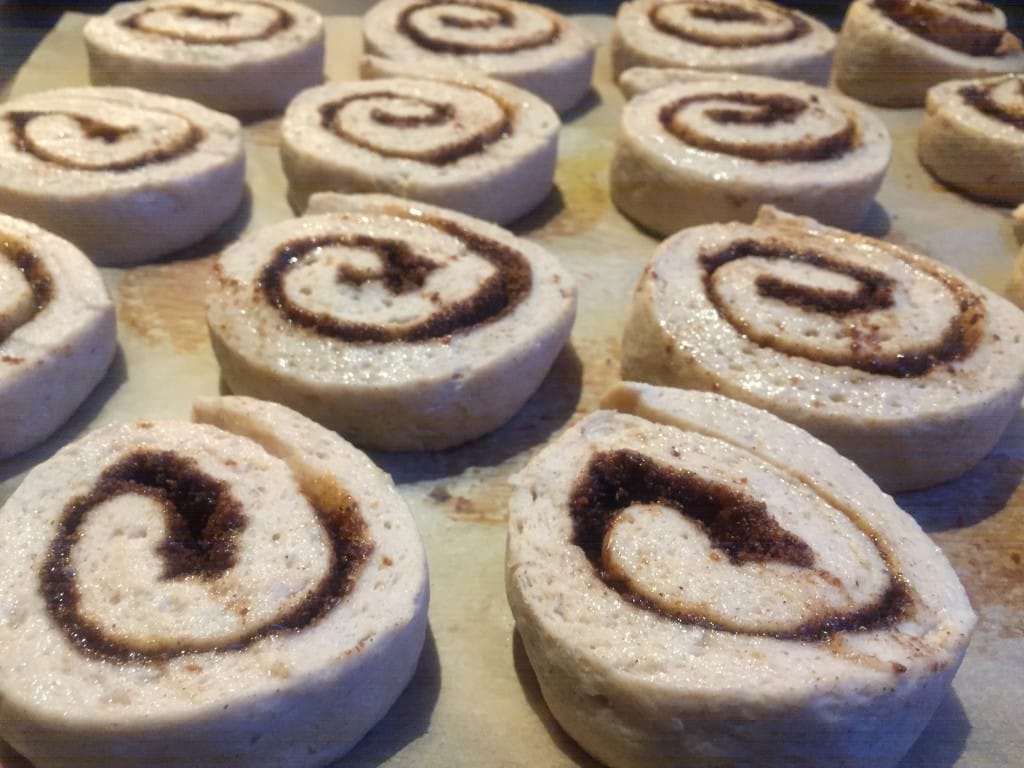 Cinnamon rolls cut and ready for oven